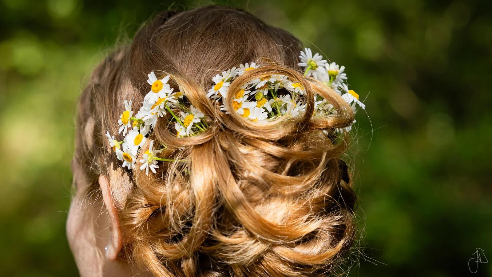 Braut-Frisur mit Gänseblümchen eingeflochten