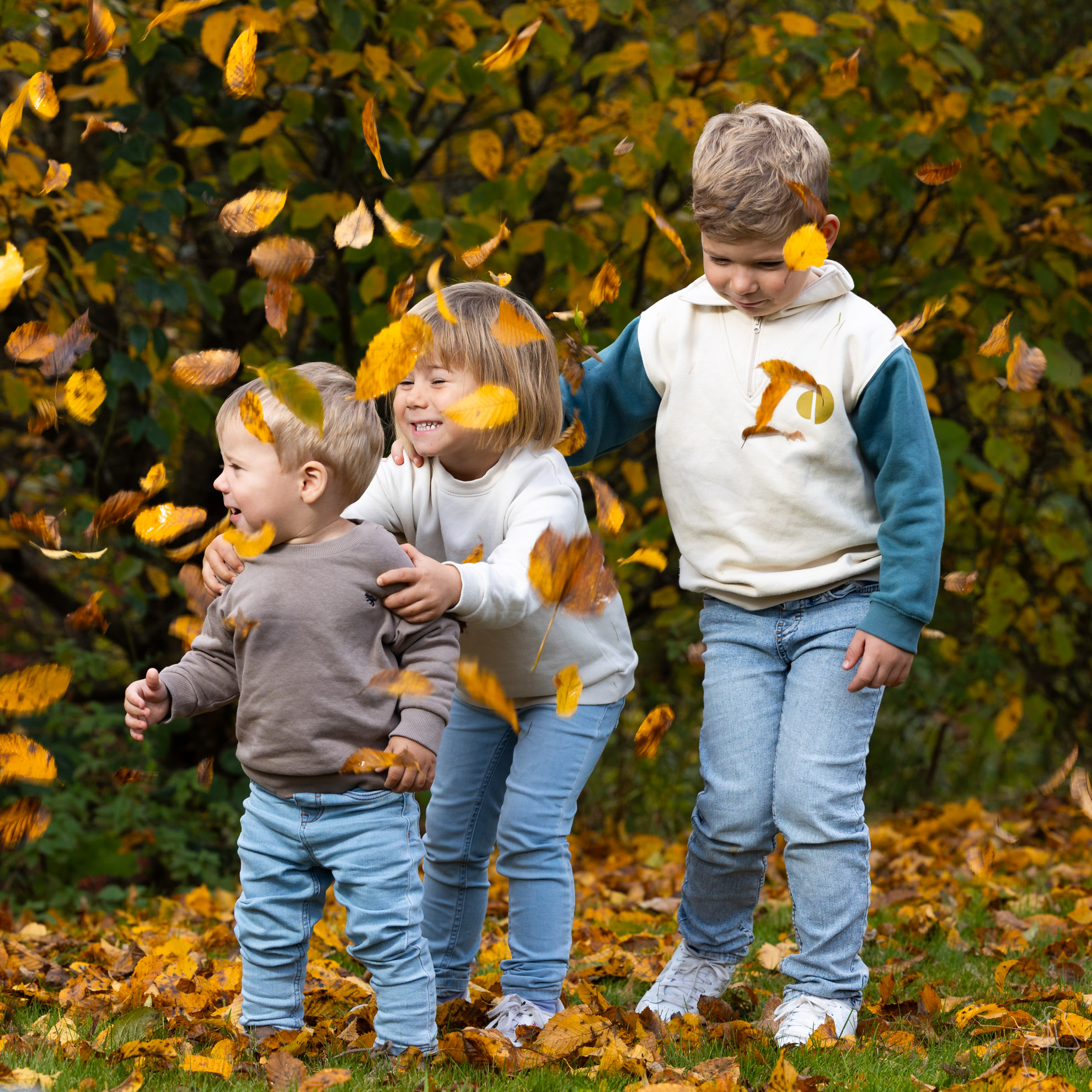 Kinder im Laub