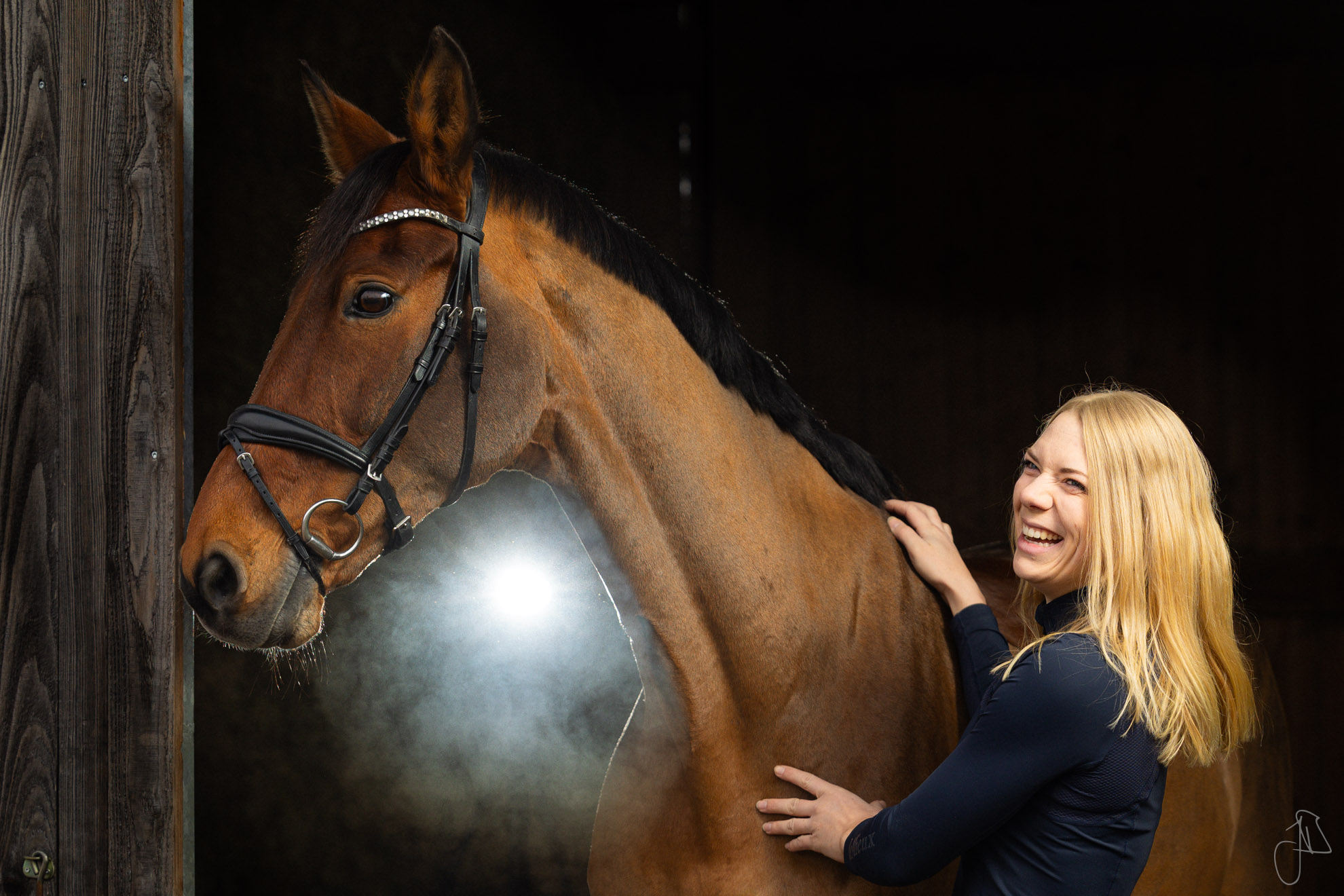 Pferd in Stall mit Atemwolke