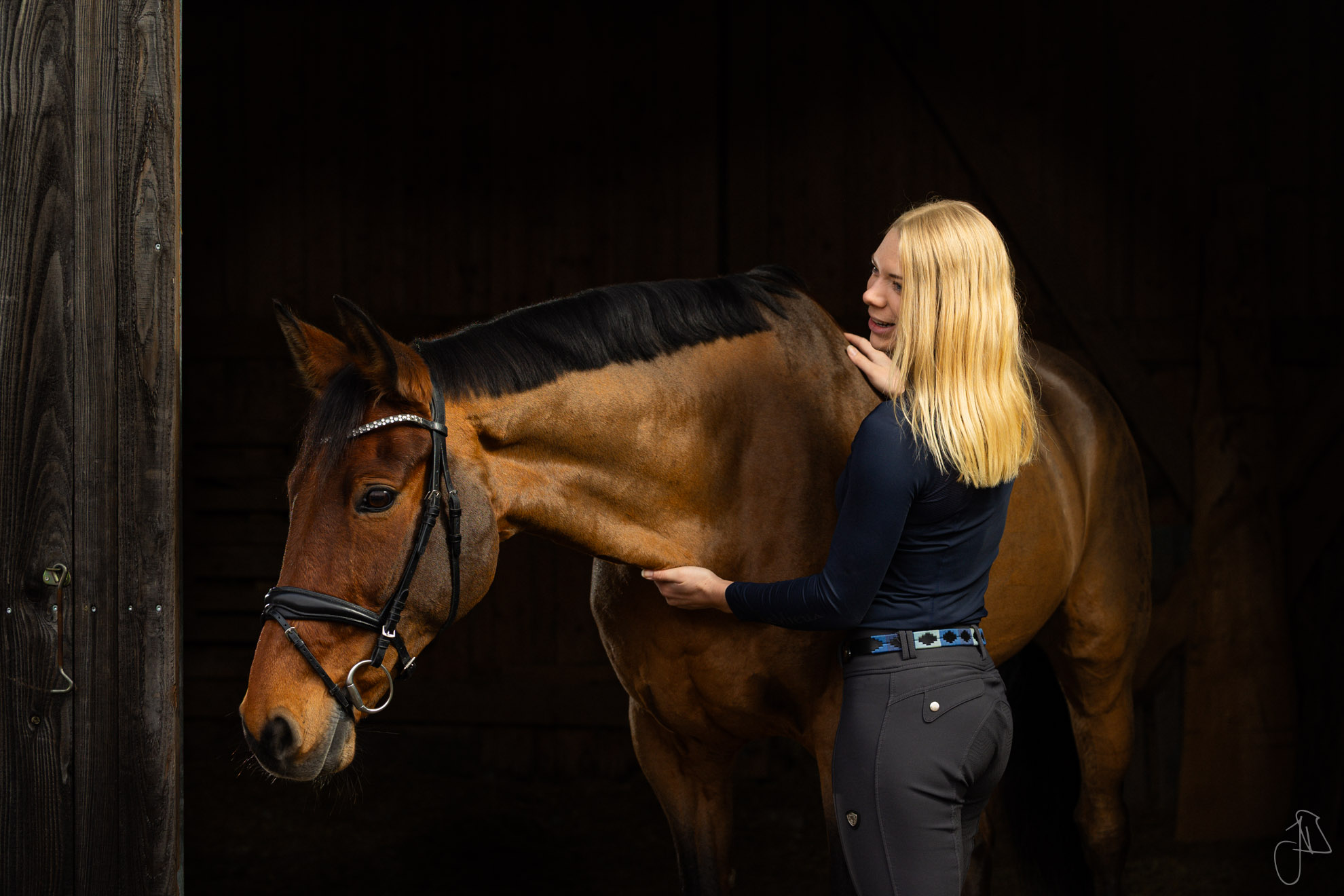 Pferd in Stall beugt sich herunter